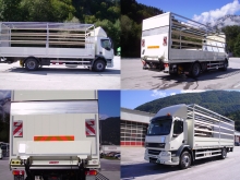 DAF LF mit Pritschenaufbau, Planengestell und 1500 kg BÄR Ladebordwand.